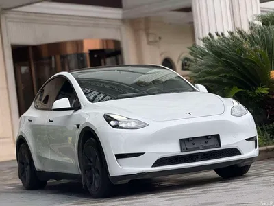 2024 Tesla Model Y Rear-Wheel Drive Version, фото 3, лот 11210979