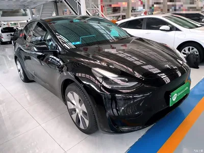 2022 Tesla Model Y Facelift Rear-Wheel Drive Version, фото 4, лот 11247347