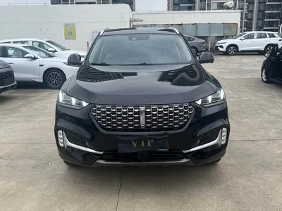 2021 WEY VV6 2.0T 2WD Smart Protection+, фото 2, лот 10451823