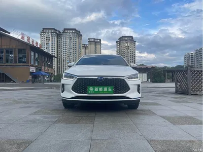 2021 BYD e2 Luxury Edition, фото 1, лот 10253639