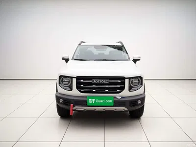 2022 Haval Big Dog 2.0T DCT AWD Chinese Pastoral Dog Edition, фото 2, лот 10387115