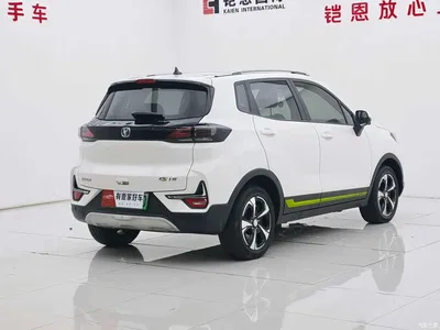 2020 Changan New Energy E-Pro Ultimate Power Edition, фото 4, лот 11151617