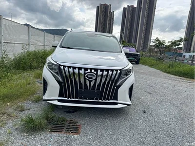 2021 GAC Trumpchi Trumpchi M8 Leading Show Series 390T Prestige Edition, фото 2, лот 10417606