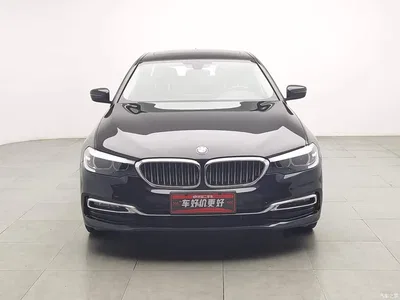 2019 BMW 5 Series 525Li Luxury Package, фото 3, лот 11408695