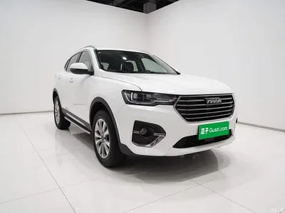 2018 Haval H4 Blue Label 1.5GDIT DCT Trend Edition, фото 3, лот 10991055