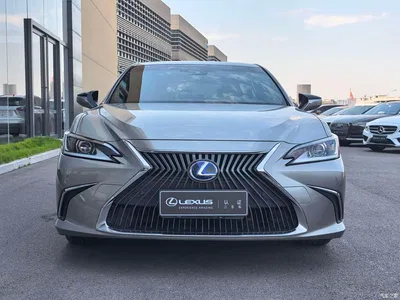 2021 Lexus ES 300h Excellence Edition, фото 2, лот 10314413