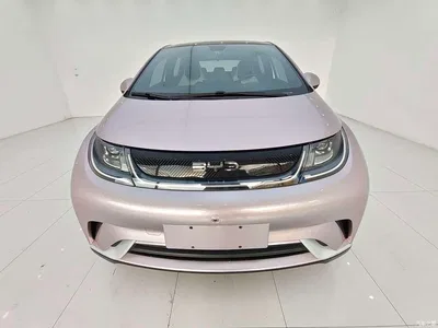 2021 BYD Dolphin Model 405km Fashion Edition, фото 2, лот 10253299