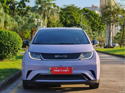 2023 BYD Dolphin 420km Freedom Edition, фото 3, лот 11521927