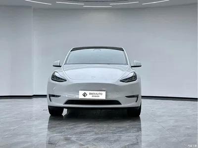 2023 Tesla Model Y Long Range All-Wheel Drive Edition, фото 2, лот 11248611