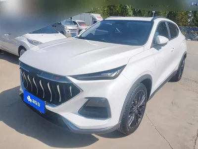 2021 Changan Oshan Changan Oushang X5 1.5T DCT Flagship, фото 1, лот 11148304
