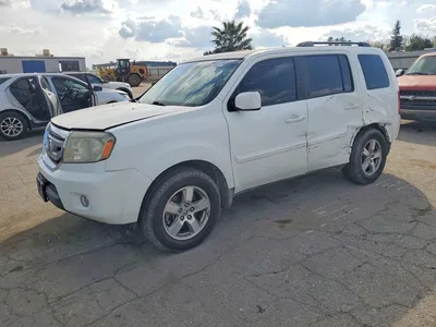 2009 HONDA PILOT EXL, фото 1, лот 10584754