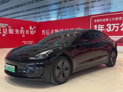 2022 Tesla Model 3 Model Rear-Wheel Drive Version, фото 1, лот 10365449