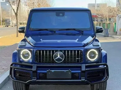 2020 Mercedes-Benz G-Class G 350, фото 2, лот 10257269