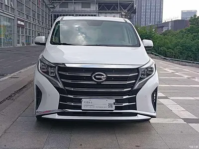 2021 GAC Trumpchi Trumpchi M8 Leading Show Series 390T Prestige Edition, фото 2, лот 10416916