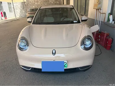 2022 Ora Good Cat 400km Standard Range Luxury LFP, фото 2, лот 10330640