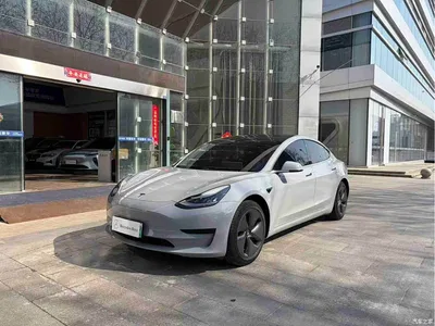 2019 Tesla Model 3 Standard Range Rear-Wheel Drive Upgrade, фото 1, лот 10355447