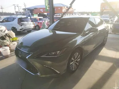 2020 Lexus ES 200 Excellence, фото 2, лот 10319596