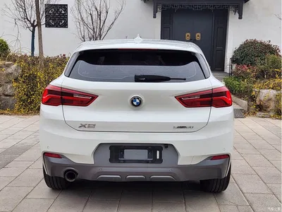 2019 BMW X2 (Import) sDrive20i M Off-Road Package China VI, фото 3, лот 10241827