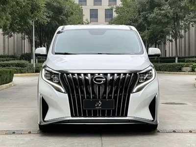 2021 GAC Trumpchi Trumpchi M8 Master Series 390T Ultimate Edition, фото 2, лот 11141448