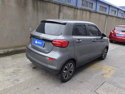 2020 Leapmotor T03 400 Standard Version, фото 3, лот 10444091