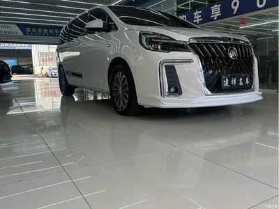 2022 Buick GL8 Land Business Class 652T Comfort, фото 3, лот 10252580