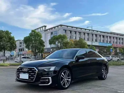 2019 Audi A6L 40 TFSI Luxury Dynamic, фото 1, лот 10382235