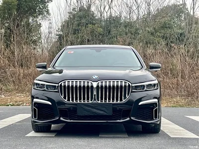 2016 BMW 7 Series 740Li Leading Edition, фото 2, лот 10458805