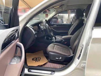 2020 BMW X3 xDrive25i Luxury Package, фото 4, лот 11012086
