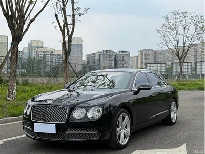 2014 Bentley Flying Spur, фото 1, лот 10244413
