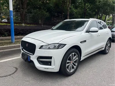2018 Jaguar F-PACE 3.0 SC 4WD R-Sport Edition, фото 1, лот 10289762