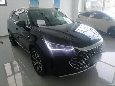 2025 BYD Tang New Energy Smart Driving Edition DM-i 115KM Flagship, фото 4, лот 10272476