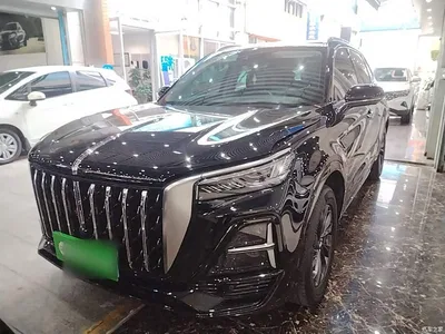 2023 Hongqi HS5 2.0T Flag Enjoy Pro Edition, фото 3, лот 10599018