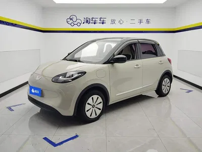 2024 Wuling Motors Wuling Bingo 203km Lite Edition, фото 1, лот 10360823