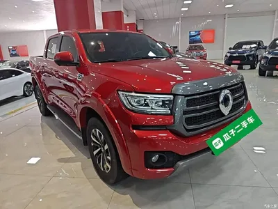 2023 Great Wall Pao 2.0T Passenger Automatic Diesel 4WD Comfort GW4D20M, фото 4, лот 10248887