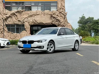 2016 BMW 3 Series 316Li Fashion, фото 1, лот 11097801