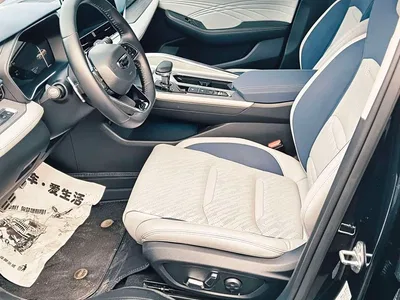 2021 Geely Xing Rui 2.0TD Premium, фото 4, лот 10359290