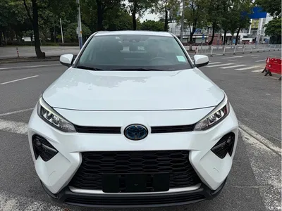 2021 Toyota Wildlander Hybrid 2.5L E-CVT 2WD Luxury Edition, фото 2, лот 11081899