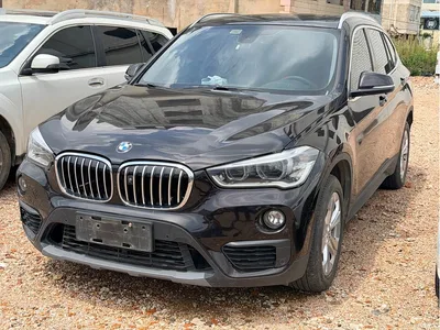 2016 BMW X1 sDrive18Li Premium Model, фото 1, лот 10464989