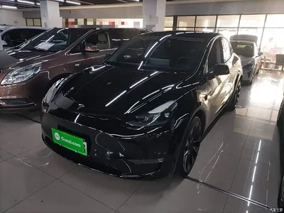 2021 Tesla Model Y Model Long Range AWD, фото 2, лот 11585544