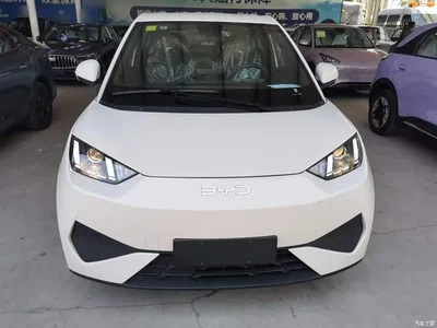 2025 BYD Seagull Smart Drive Edition 305km Vitality Version, фото 3, лот 10262980
