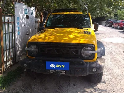 2022 Tank 300 2.0T Border Limited Edition, фото 2, лот 10344579
