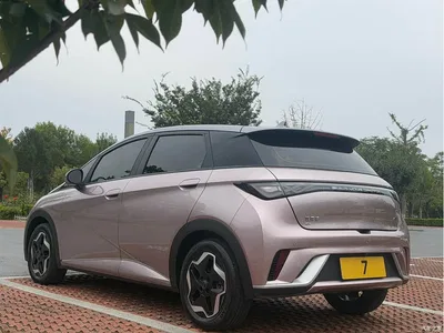 2021 BYD Dolphin Model 405km Fashion Edition, фото 4, лот 11549943