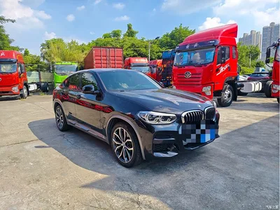 2020 BMW X4 xDrive25i M Sport Package, фото 2, лот 11409338
