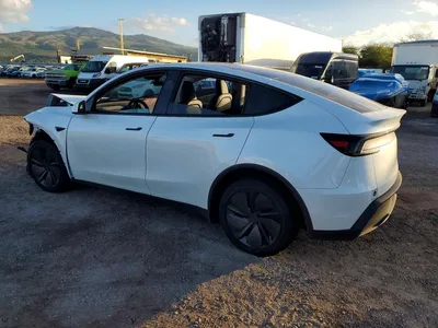 2026 TESLA MODEL Y, фото 2, лот 11564443