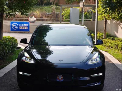 2021 Tesla Model 3 Standard Range Rear-Wheel Drive Upgrade 3D6, фото 2, лот 10452405