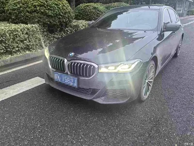 2022 BMW 5 Series Facelift 530Li Leading M Sport Package, фото 1, лот 11220777