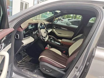 2021 Geely Xingyue L 2.0TD DCT EVO FWD Premium, фото 4, лот 10295191