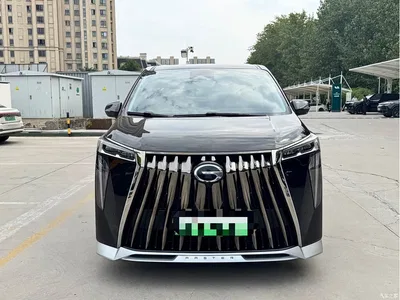 2023 GAC Trumpchi Trumpchi E9 E9 Champion Edition, фото 2, лот 10400740
