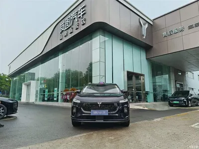 2025 Voyah Auto Voyah Zhiyin Base, фото 2, лот 11169857