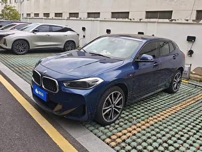 2021 BMW X2 xDrive25i M Sport Package, фото 1, лот 10475471